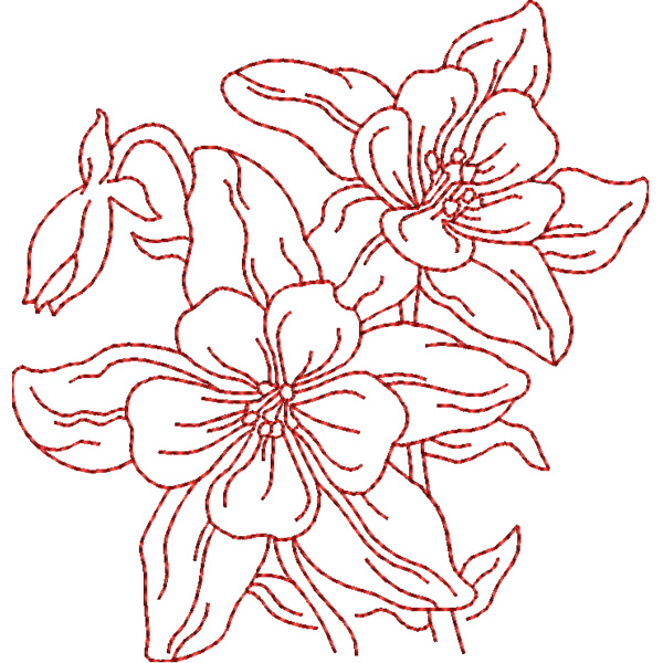 FP152 Thumbnail